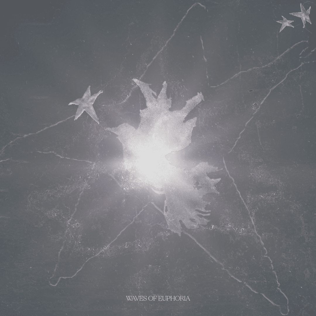 A glowing abstract bird shape shines on a textured, dark background, with smaller stars above. The text "Waves of Euphoria" appears below